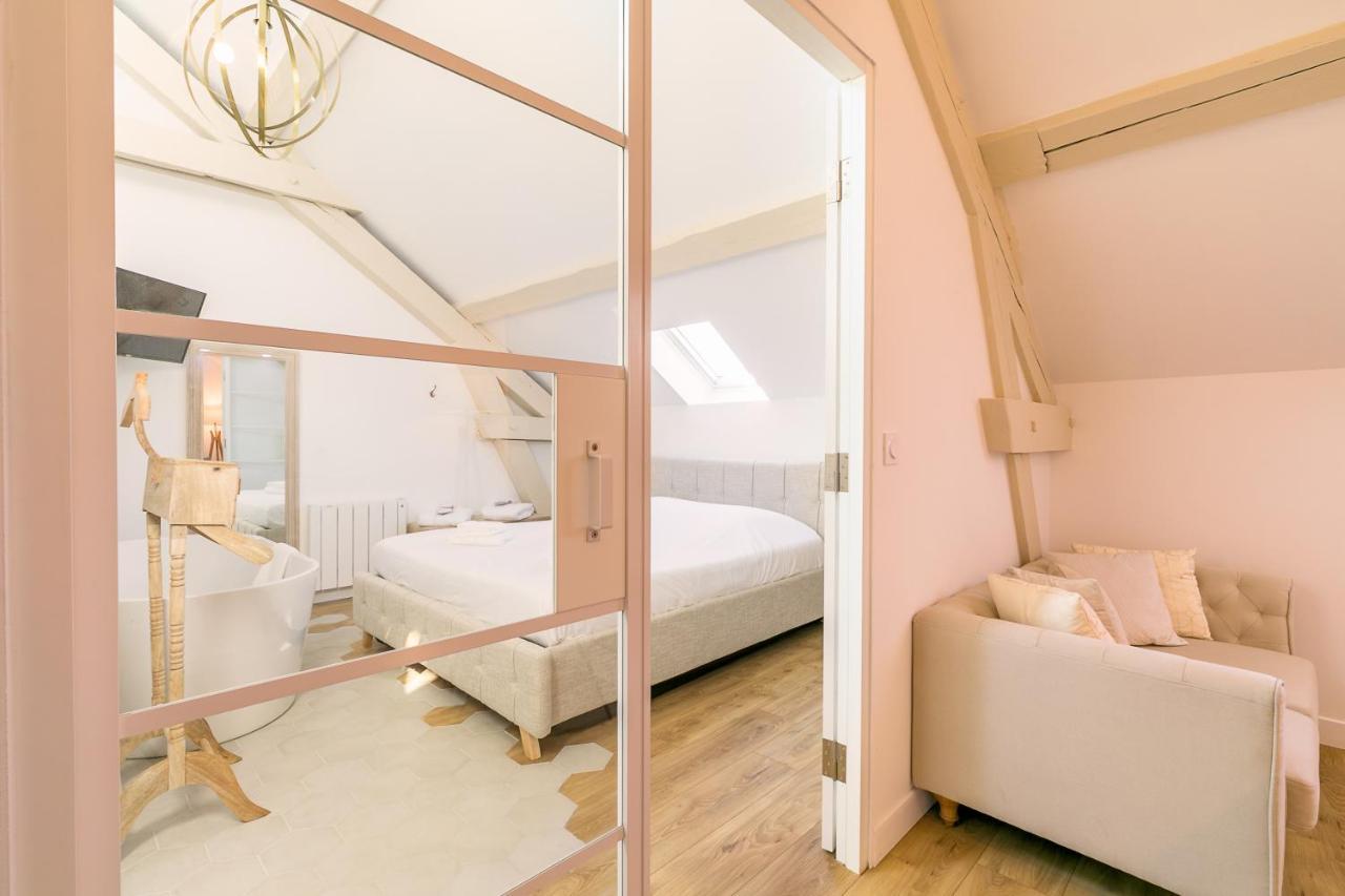 Le Cosy Charme Et Detente Au Coeur De Apartment Dijon